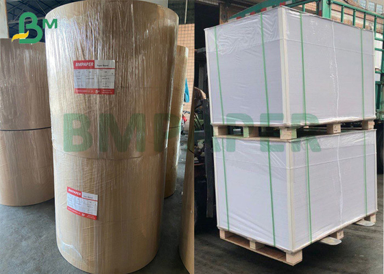 190 - 350 जीएसएम कप आधारित पेपर बाउल फोल्डेबल फूड पैकेजिंग के लिए