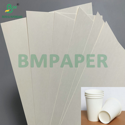 C1S पीई सतह 210gsm 230gsm कप कागज पेय के लिए कप जंबो रोल