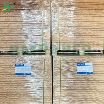 50gsm 55gsm Food Safe Heat Resistant Coffee Filter Paper Rolls