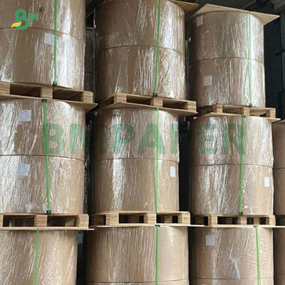 पीला पानी प्रतिरोधी आम कवरिंग पैकिंग बैग पेपर ब्लैक इनर