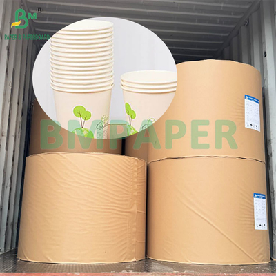 190gsm 320gsm+15gPE कोटेड फूड ग्रेड डिस्पोजेबल हॉट कॉफी कप पेपर