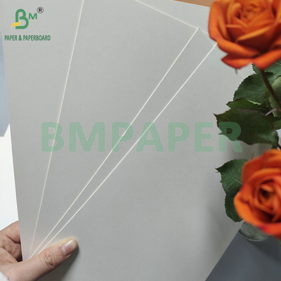 190gsm 320gsm+15gPE कोटेड फूड ग्रेड डिस्पोजेबल हॉट कॉफी कप पेपर