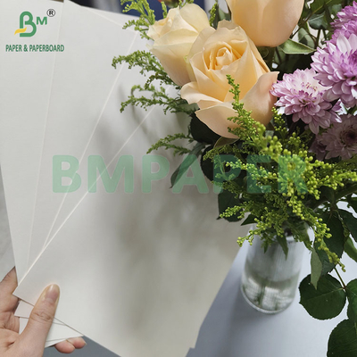 190gsm 320gsm+15gPE कोटेड फूड ग्रेड डिस्पोजेबल हॉट कॉफी कप पेपर