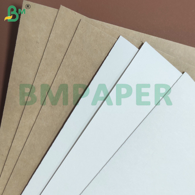 240gsm+10gsm एक तरफ़ा PE लेपित लीक-प्रूफ कप स्टॉक पेपर शीट