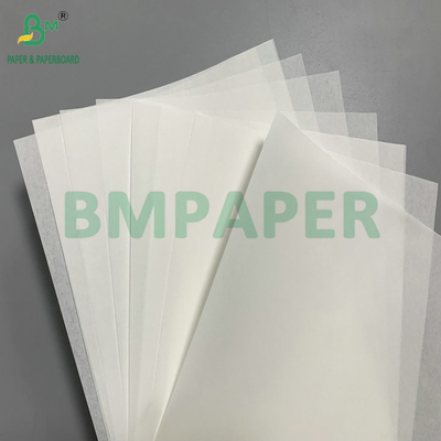 35gsm 40gsm Greaseproof Heat Resistance Easy Slip Paper For Cupcake Liners कूप केक लाइनर के लिए आसान फिसलने वाला कागज