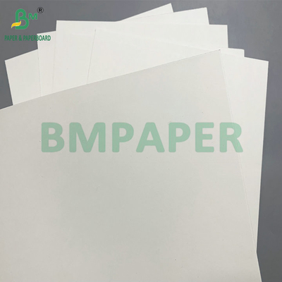 PE लेपित 190 - 350gsm कटोरा पेपर डिस्पोजेबल पेपर कटोरे के लिए उपयोग किया जाता है