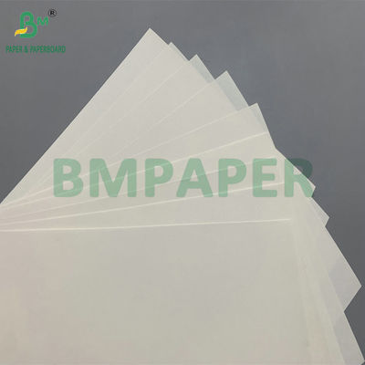 Smooth High Bulk Ivory 80gsm 100gsm Woodfree Paper For Notebook Pages