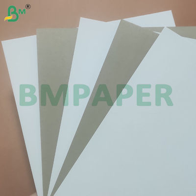 350gsm Duplex White Coated Grey Back Cardboard for Packaging