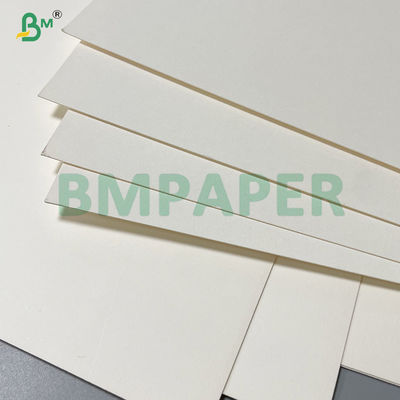 240gsm + 20gsm Biodegradable PLA Coated Cup Base paper in roll