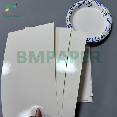 70x100cm 300gsm +15PE Coated Cardboard For Printing lunch box