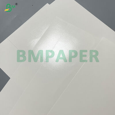 Food Safety High Extensibility One Side PE Coated Cup Stock Paper 
