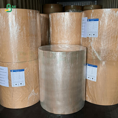 बेकिंग केक रोल / शीट के लिए प्रीमियम नॉन-स्टिक कपकेक लाइनर