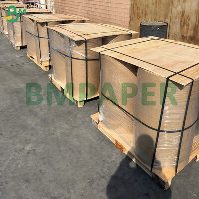 कोल्ड स्टोरेज और आउटडोर के लिए कोल्ड रेसिस्टेंट थर्मल पेपर फ्रीज प्रूफ