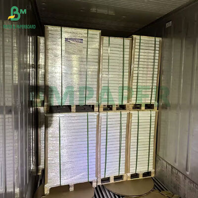 900 X 640MM 250Gr 300Gr वन साइडेड कोटिंग एसबीएस पेपर फॉर फूड पैकेज