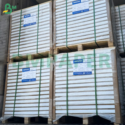 250/300gsm डबल साइड ग्लॉसी पोस्टर पेपर शीट्स 787mm*1092mm