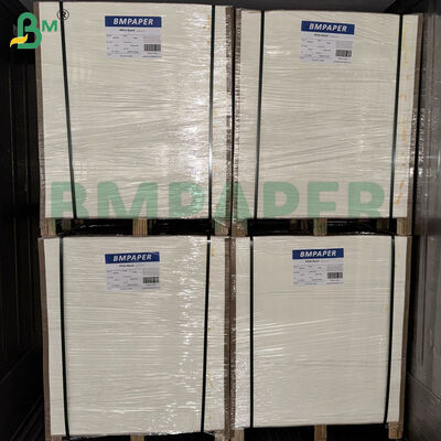 460gsm 0.8mm पेपर बीयर कोस्टर बोर्ड | ब्लॉटिंग पेपर 1200mm × 840mm शीट्स