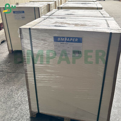 460gsm 0.8mm पेपर बीयर कोस्टर बोर्ड | ब्लॉटिंग पेपर 1200mm × 840mm शीट्स