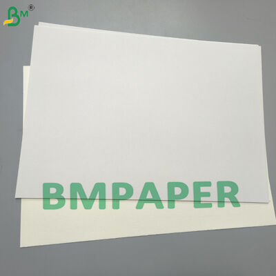 250gsm Fully Coated GC2 White Folding Box Board Manila Back For Bakery Products