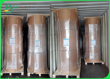 पारिस्थितिक बांस क्राफ्ट पेपर रोल 50GSM - 250GSM