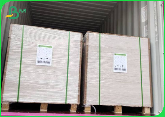वर्जिन पल्स लेपित एफबीबी आइवरी बोर्ड 305g / 345g ऑफसेट प्रिंटिंग